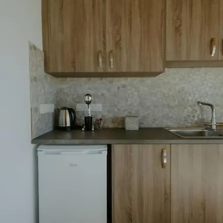 Dipaton House In Vasa 1 * Limisso